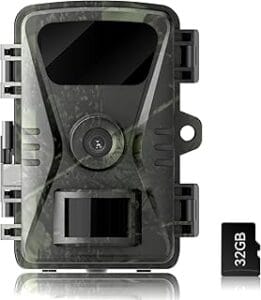 Best Trail Cameras in USA 2026