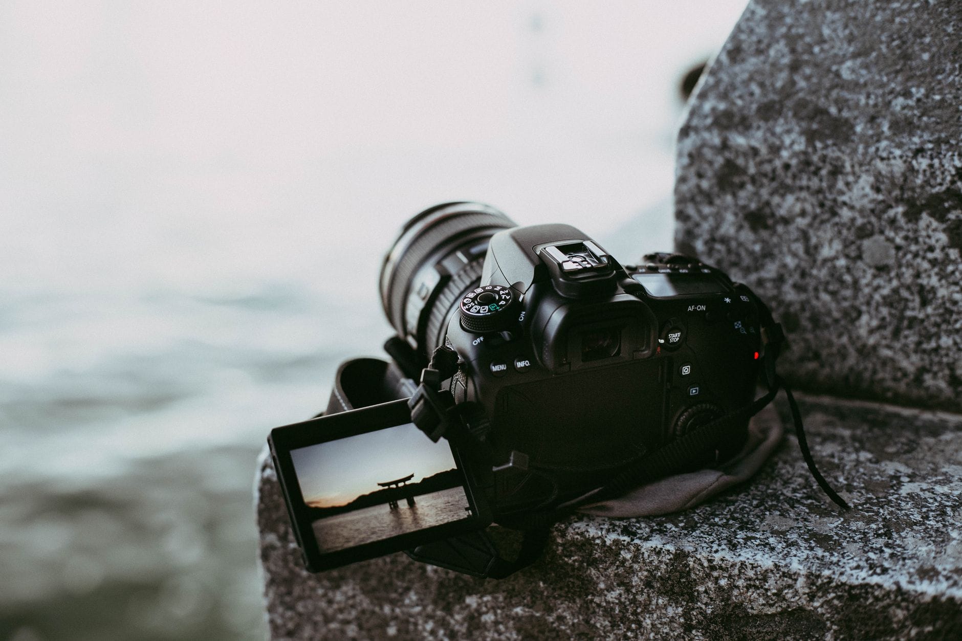 Best Cameras for Beginners Under ₹50,000 in India 2026 | Mid-Range Picks Reviewed